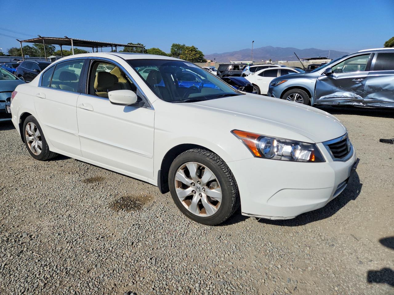 2008 Honda Accord Exl White vin: JHMCP26878C042806