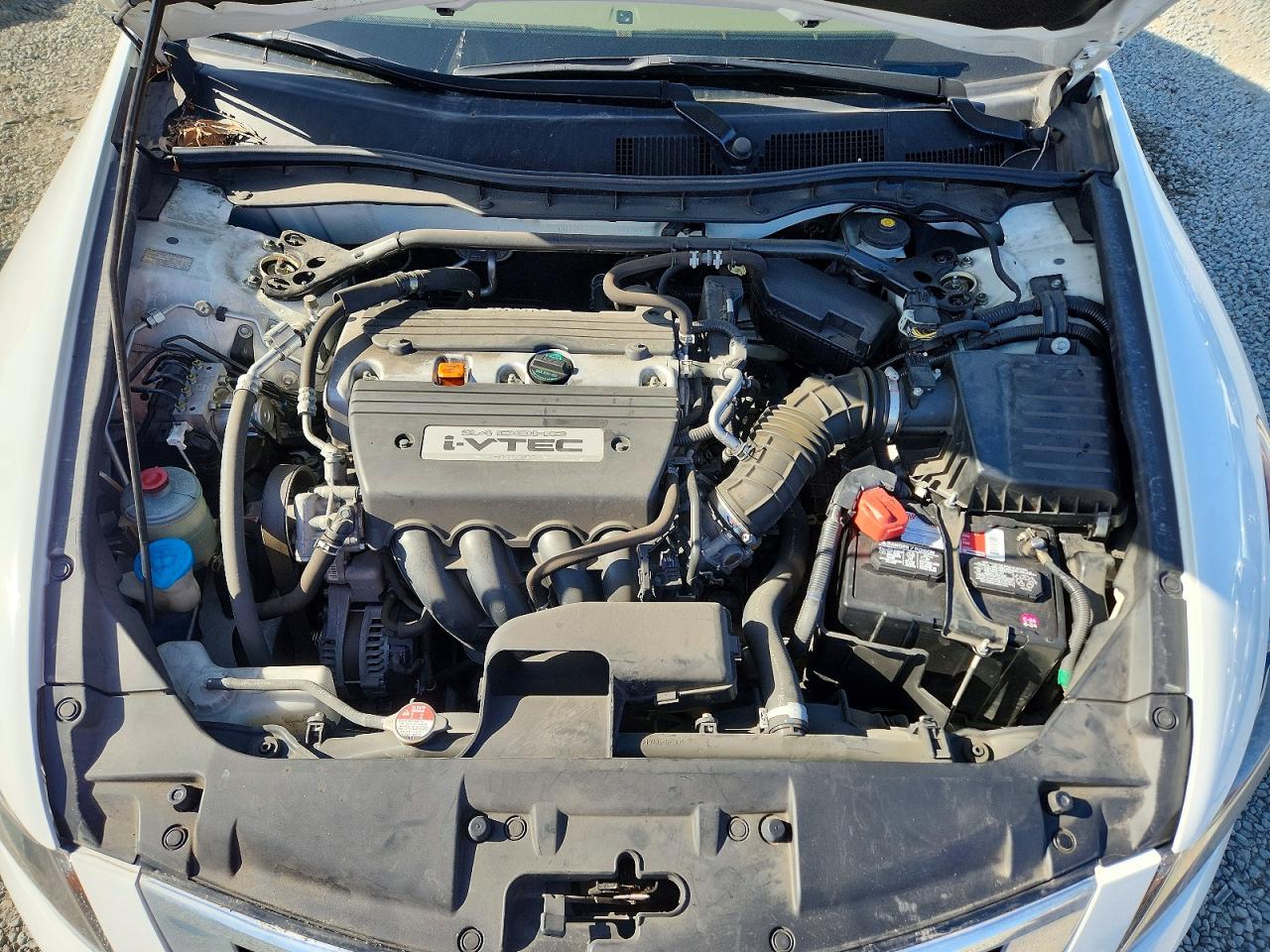 2008 Honda Accord Exl White vin: JHMCP26878C042806