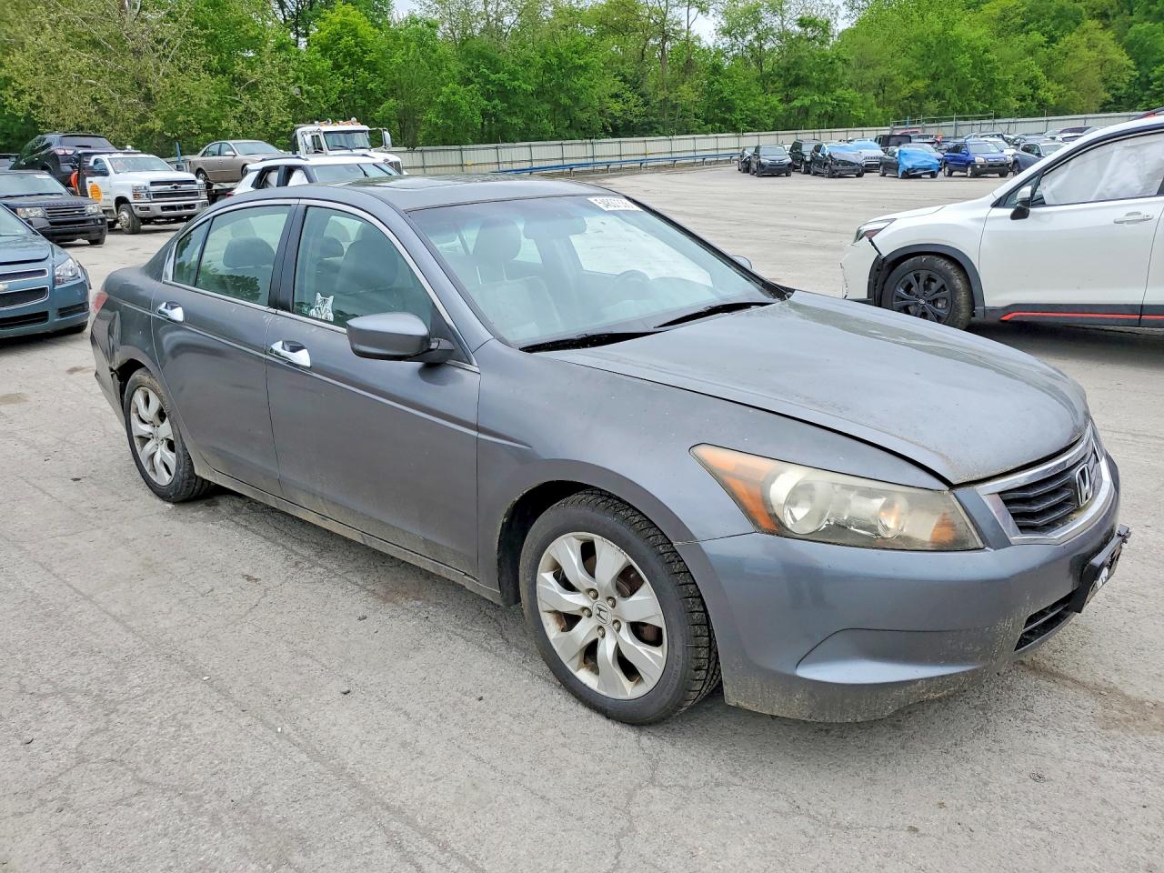 2009 Honda Accord Exl Gray vin: JHMCP26879C010536