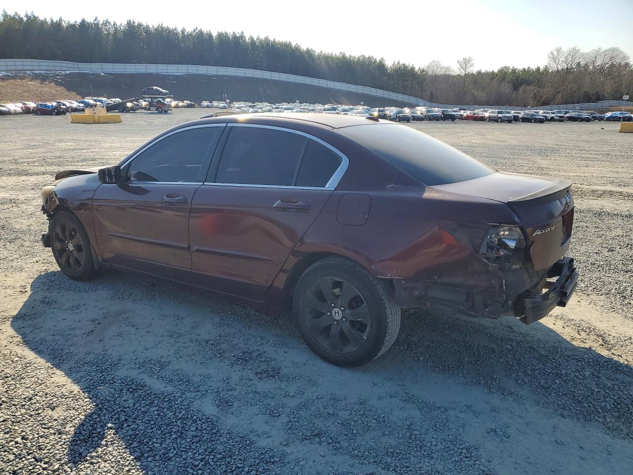 2008 Honda Accord Exl Burgundy vin: JHMCP26898C002114
