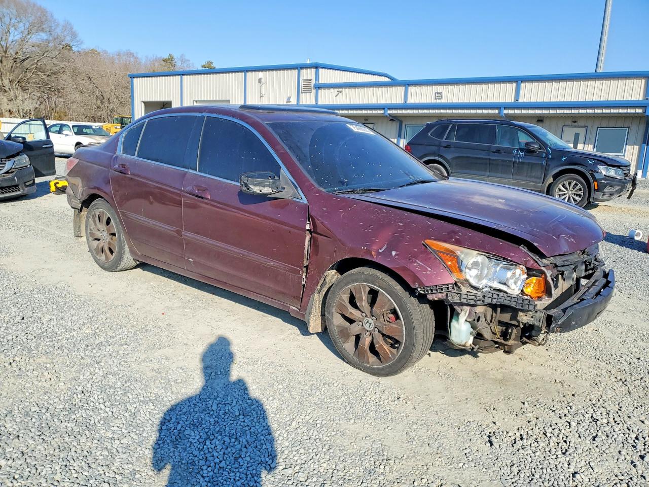 2008 Honda Accord Exl Burgundy vin: JHMCP26898C002114