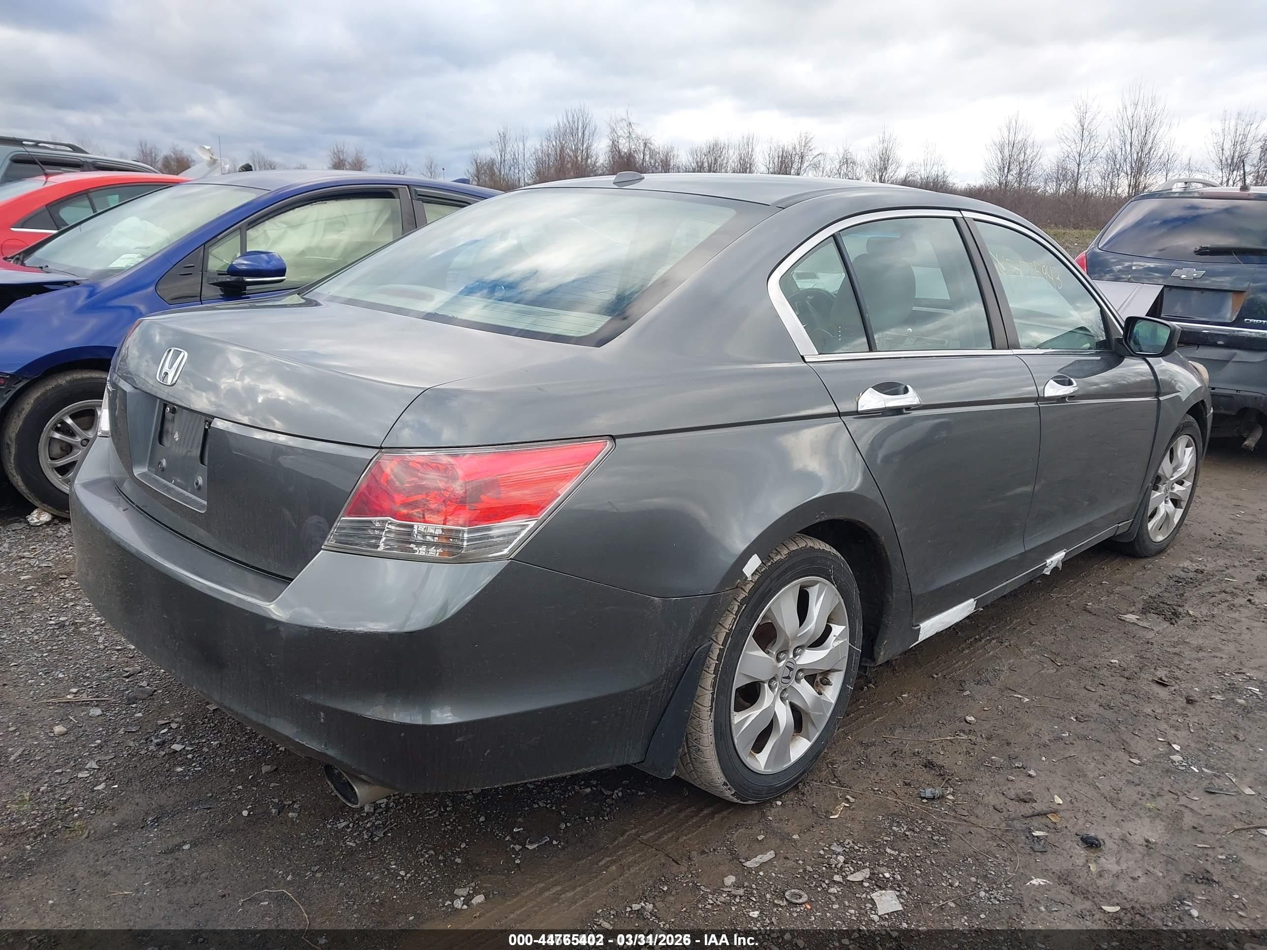 2008 Honda Accord 2.4 Ex-l Серый vin: JHMCP26898C002243