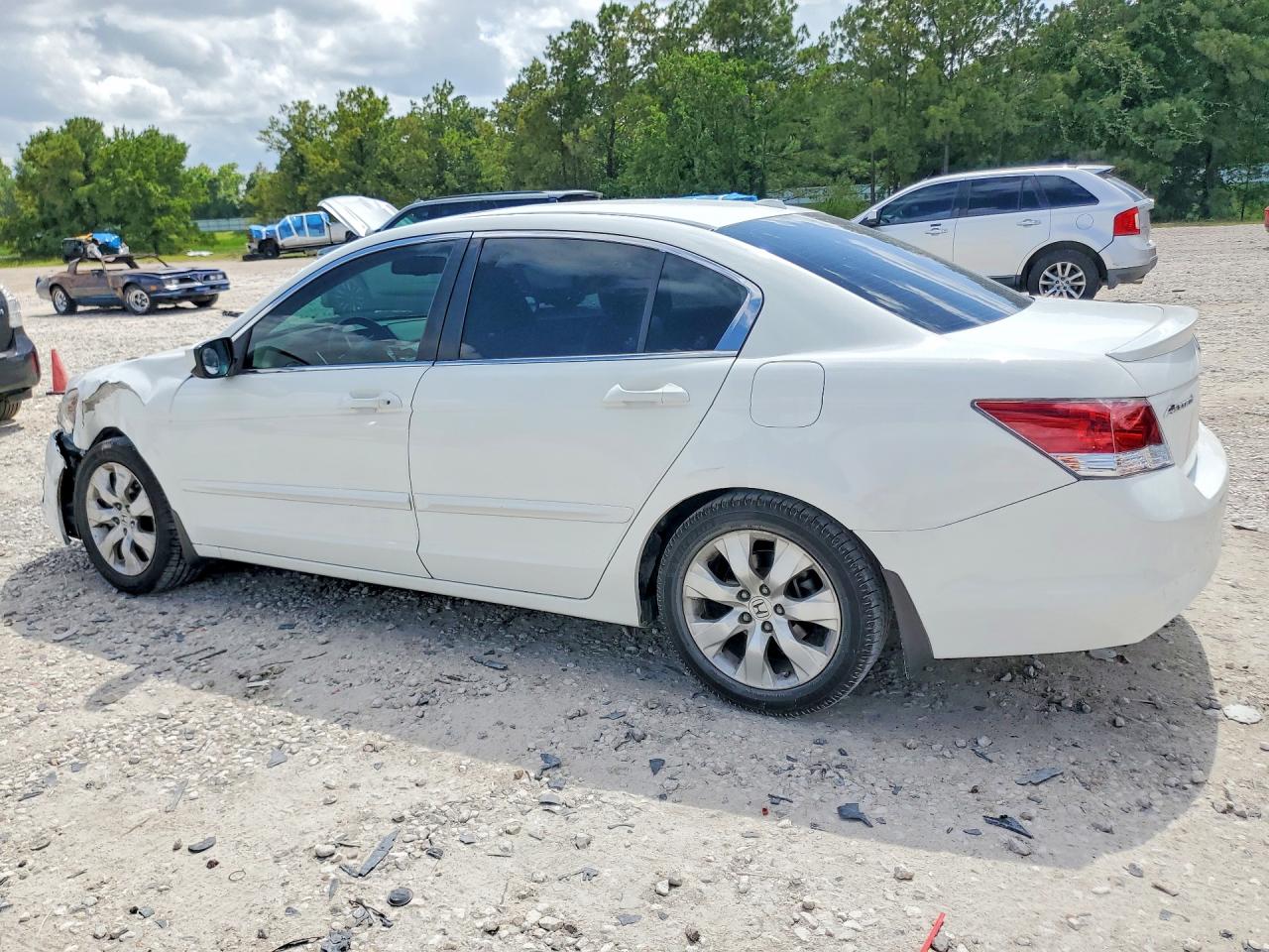 2008 Honda Accord Exl White vin: JHMCP268X8C032285