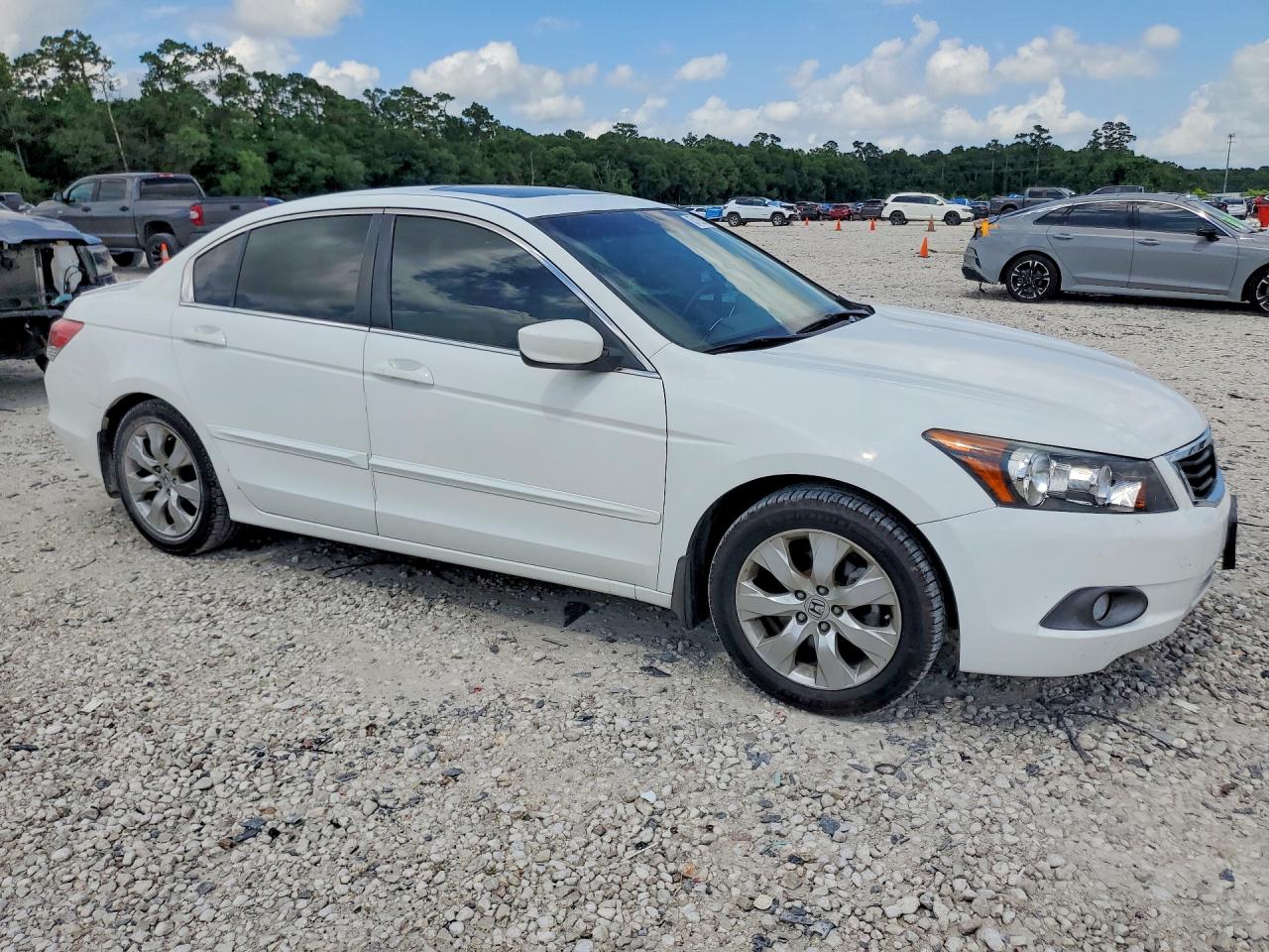 2008 Honda Accord Exl White vin: JHMCP268X8C032285
