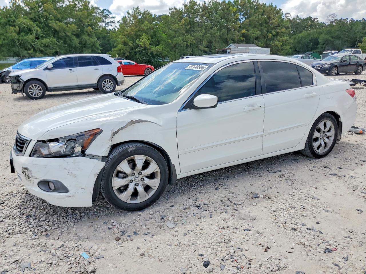 2008 Honda Accord Exl White vin: JHMCP268X8C032285