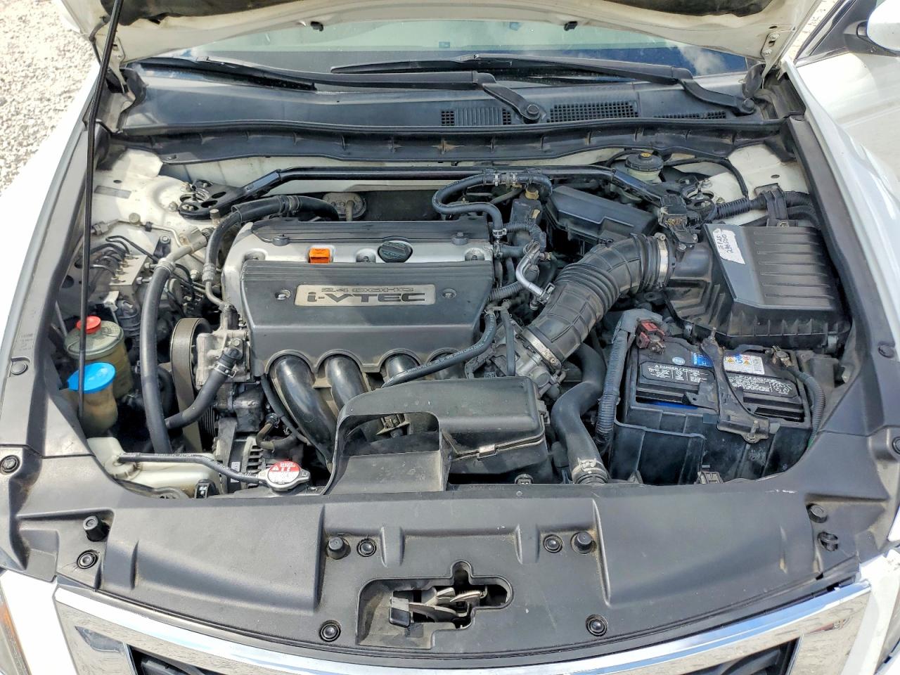 2008 Honda Accord Exl White vin: JHMCP268X8C032285