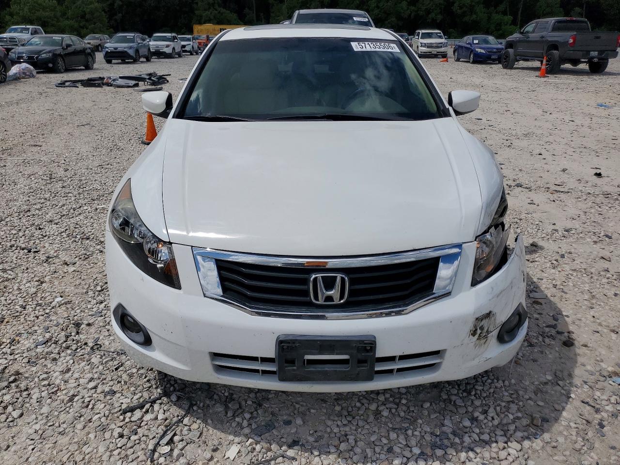 2008 Honda Accord Exl White vin: JHMCP268X8C032285
