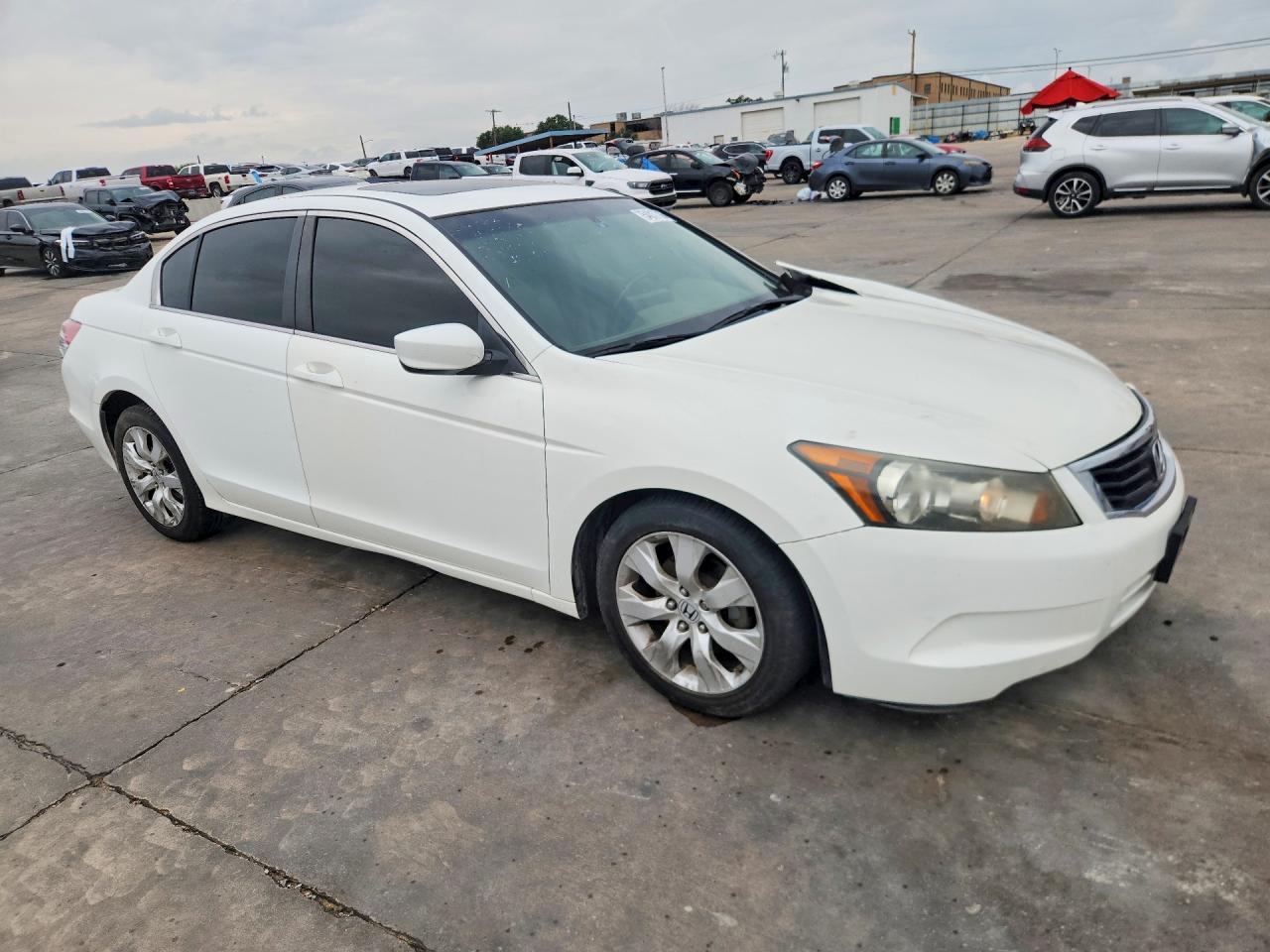2008 Honda Accord Exl White vin: JHMCP268X8C056618