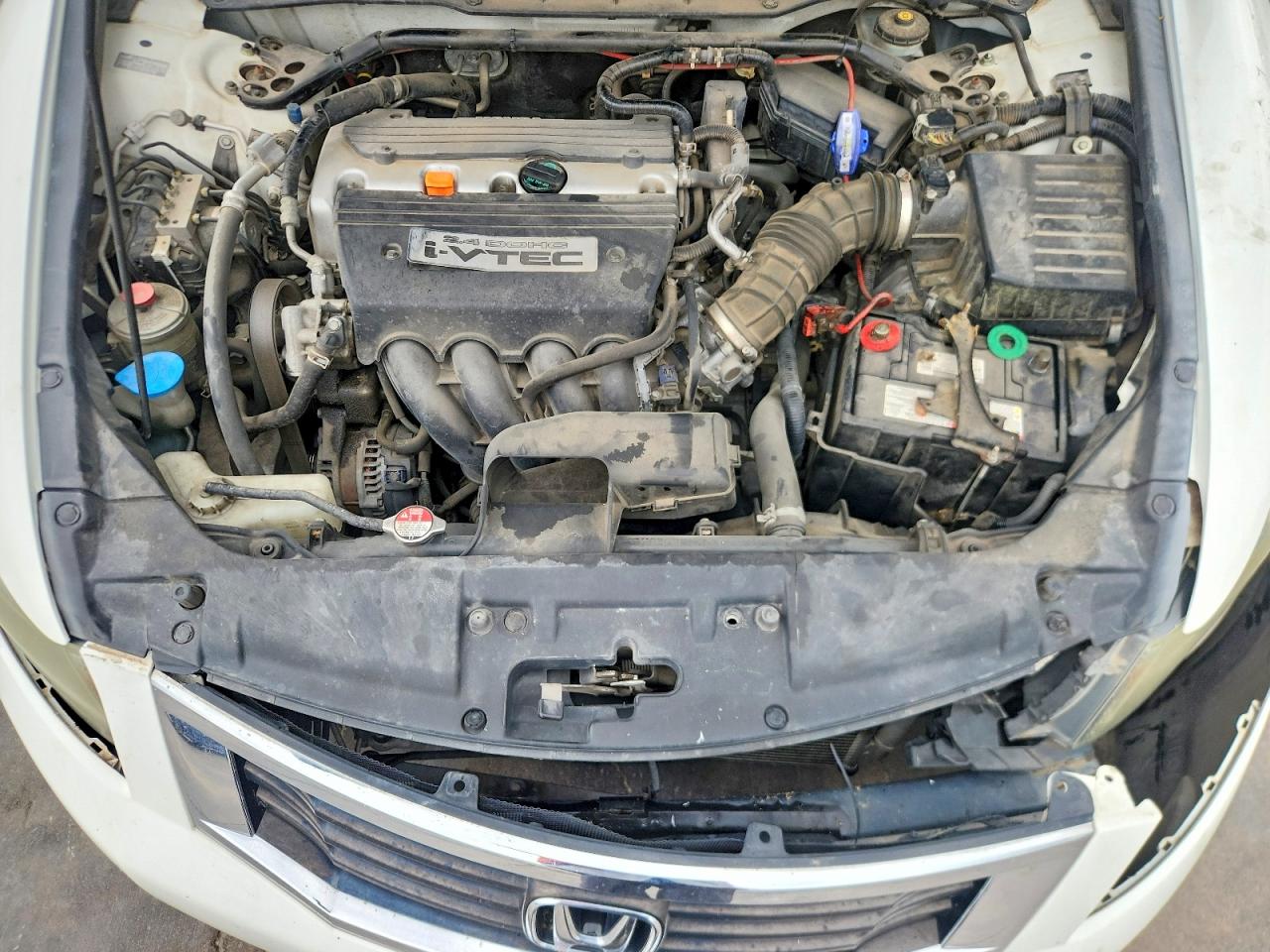 2008 Honda Accord Exl White vin: JHMCP268X8C056618