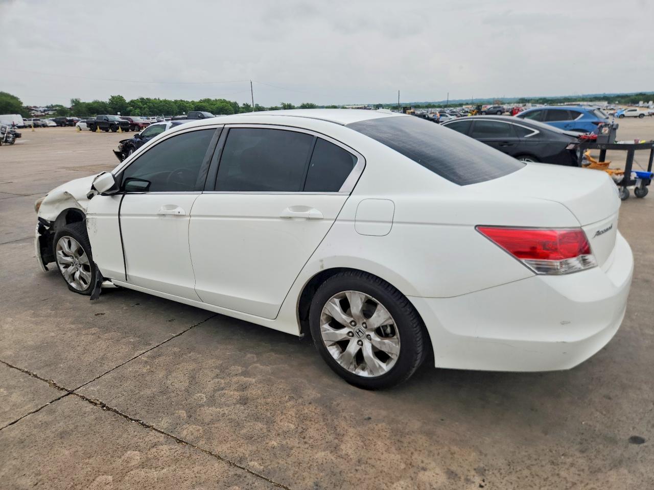 2008 Honda Accord Exl White vin: JHMCP268X8C056618