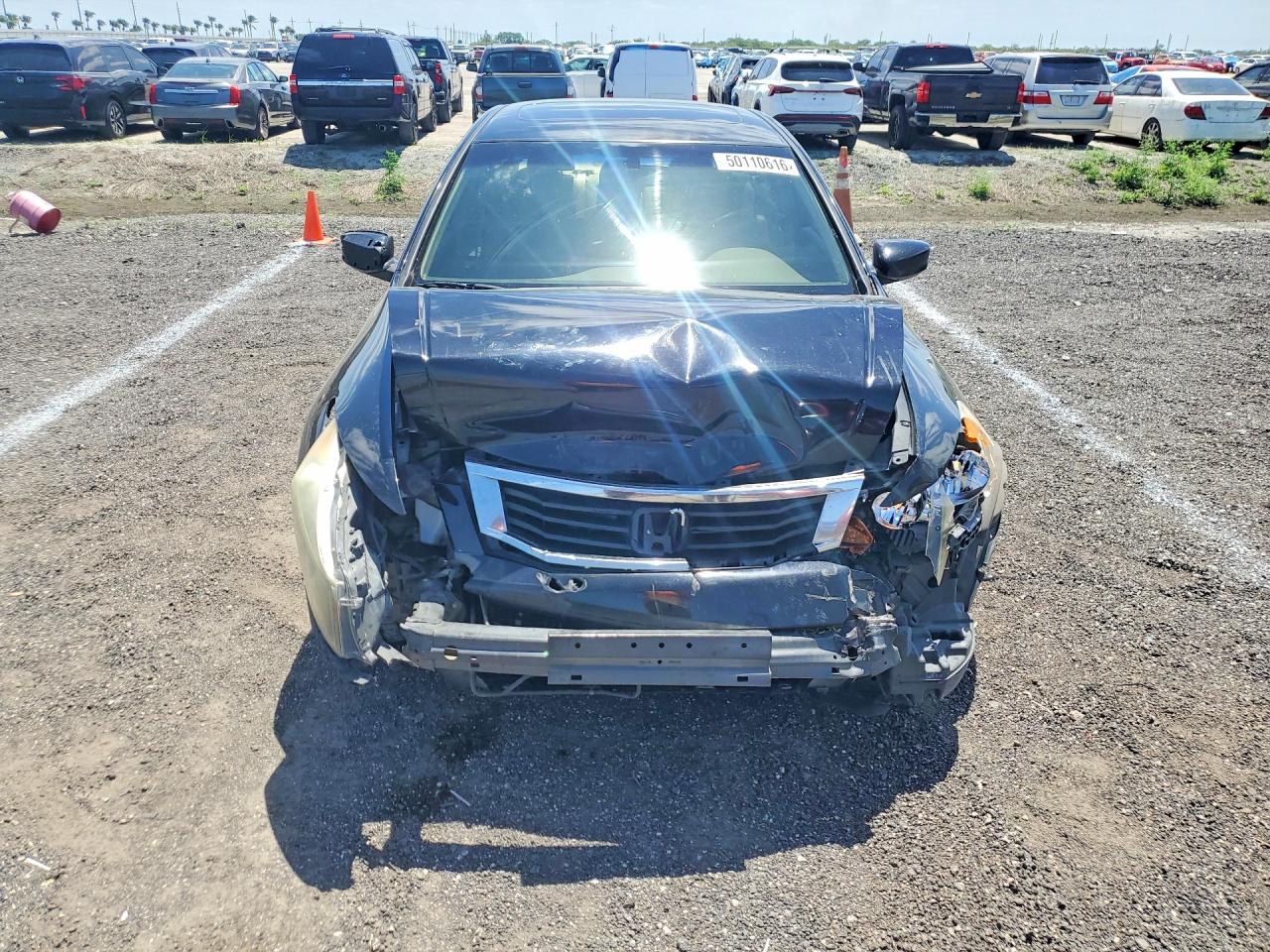 2008 Honda Accord Exl Black vin: JHMCP268X8C071345