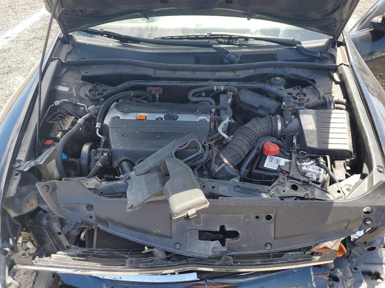 2008 Honda Accord Exl Black vin: JHMCP268X8C071345