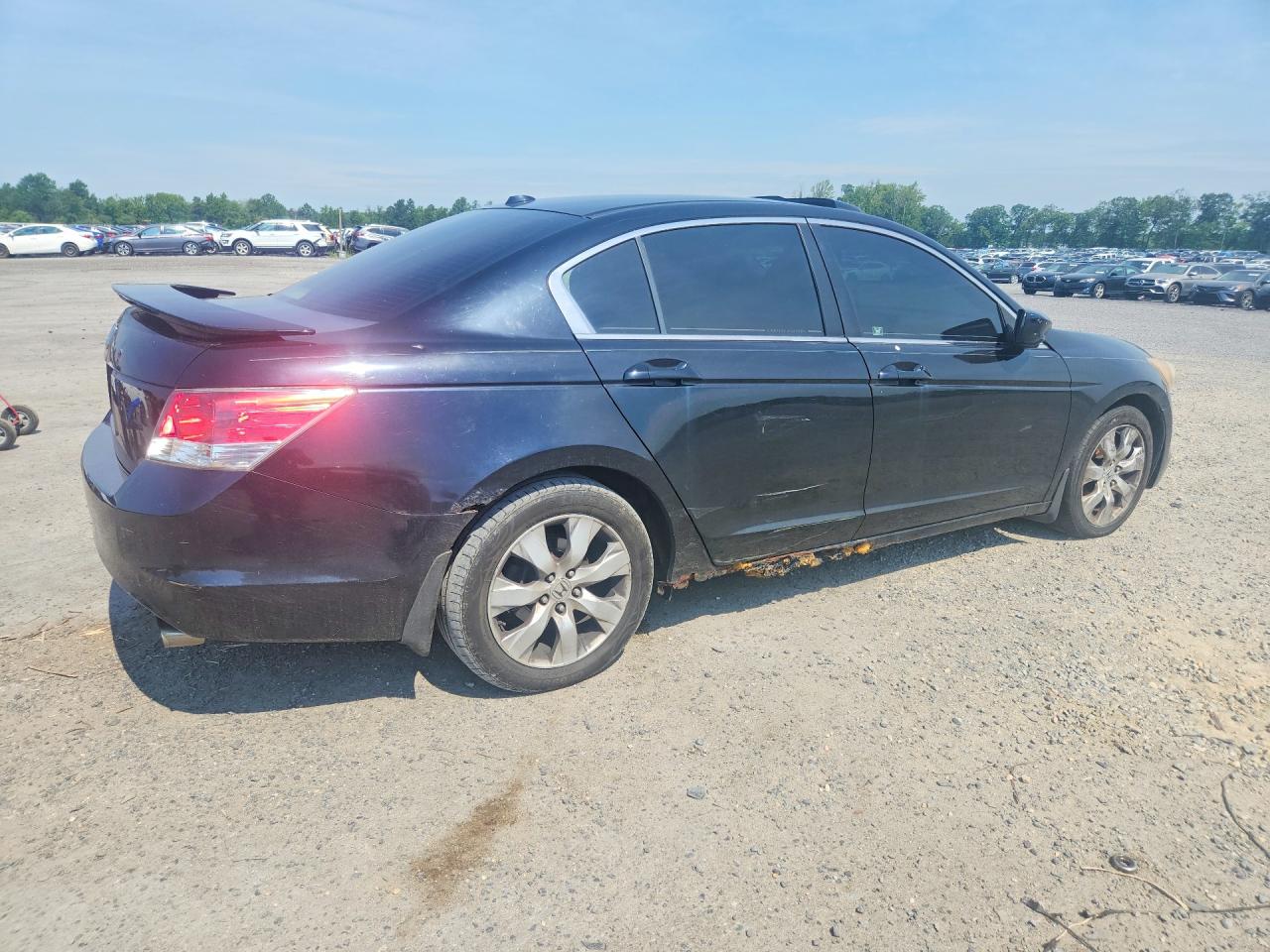 2008 Honda Accord Exl Black vin: JHMCP268X8C077193