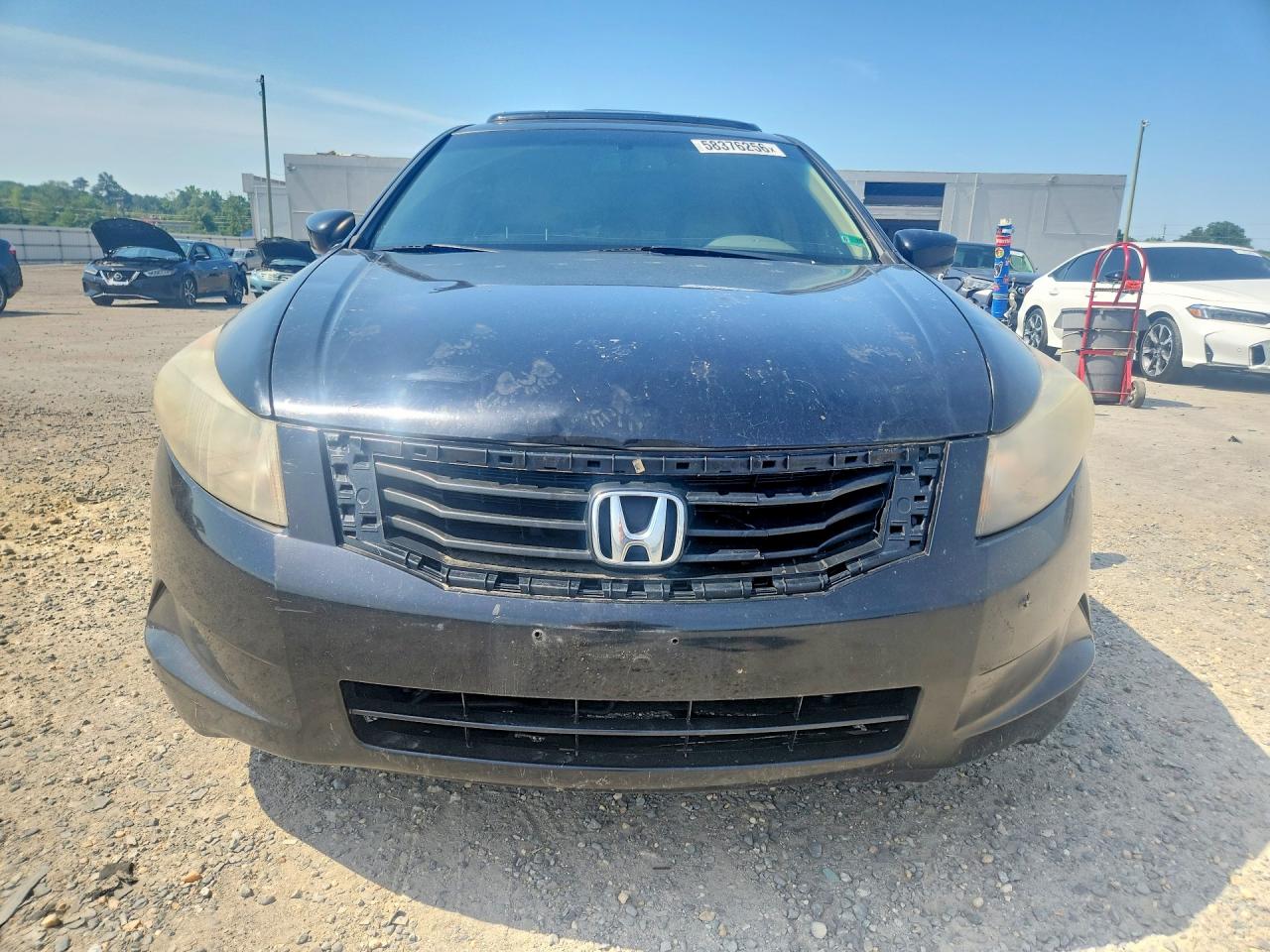 2008 Honda Accord Exl Black vin: JHMCP268X8C077193