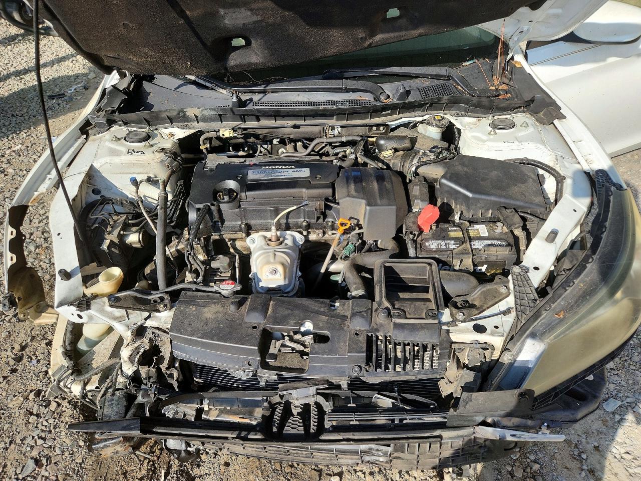 2013 Honda Accord Lx White vin: JHMCR2F31DC000477