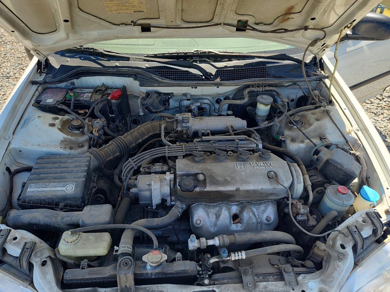 1995 Honda Civic Lx White vin: JHMEG8655SS019958