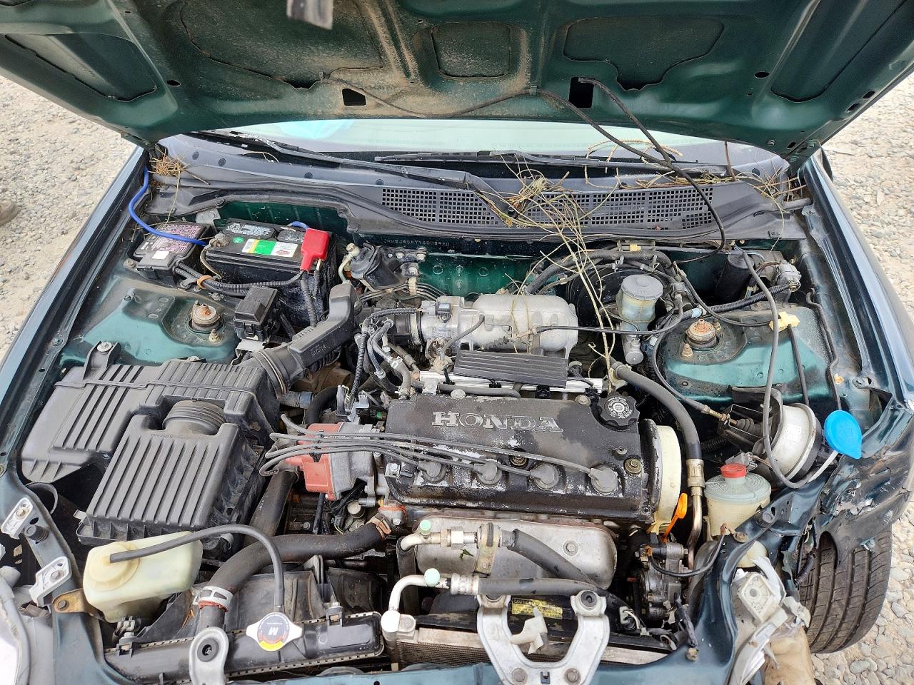2000 Honda Civic Ex Green vin: JHMEJ8647YS003990