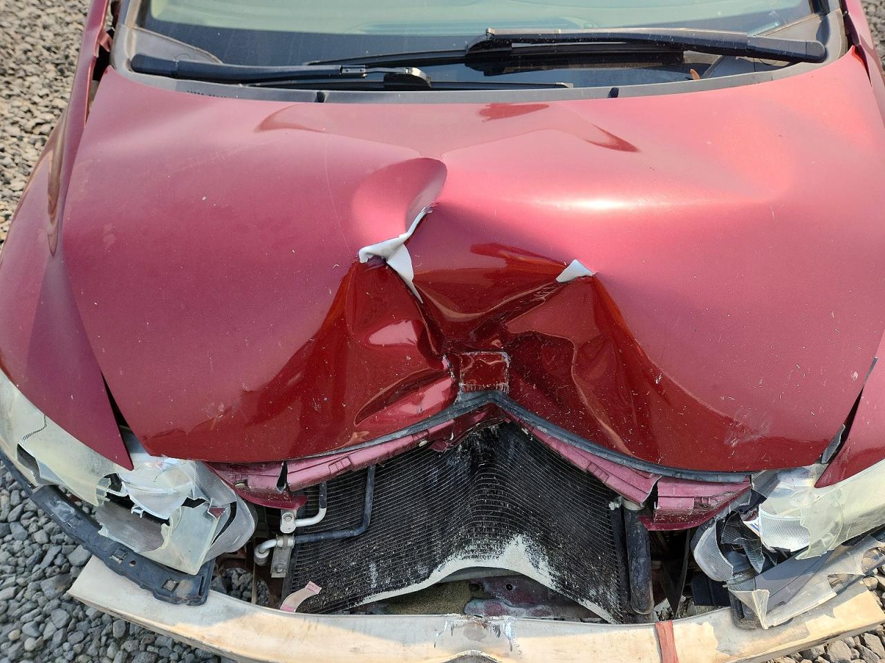 2006 Honda Civic Lx Maroon vin: JHMFA16596S006035