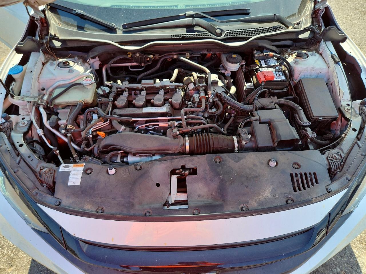 2019 Honda Civic Exl White vin: JHMFC1F7XKX010331