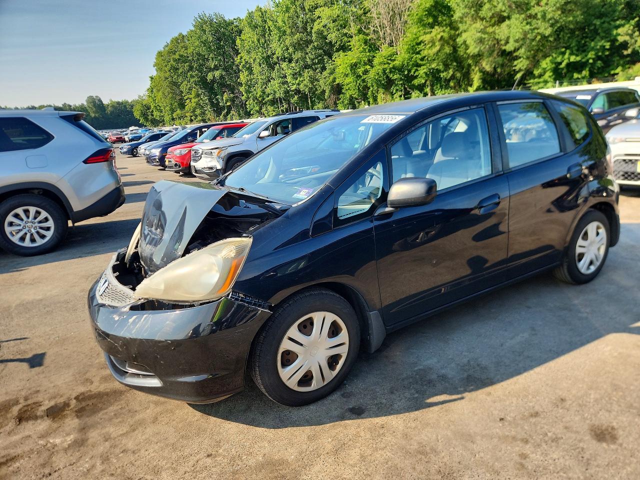 2009 Honda Fit Black vin: JHMGE88239C002016