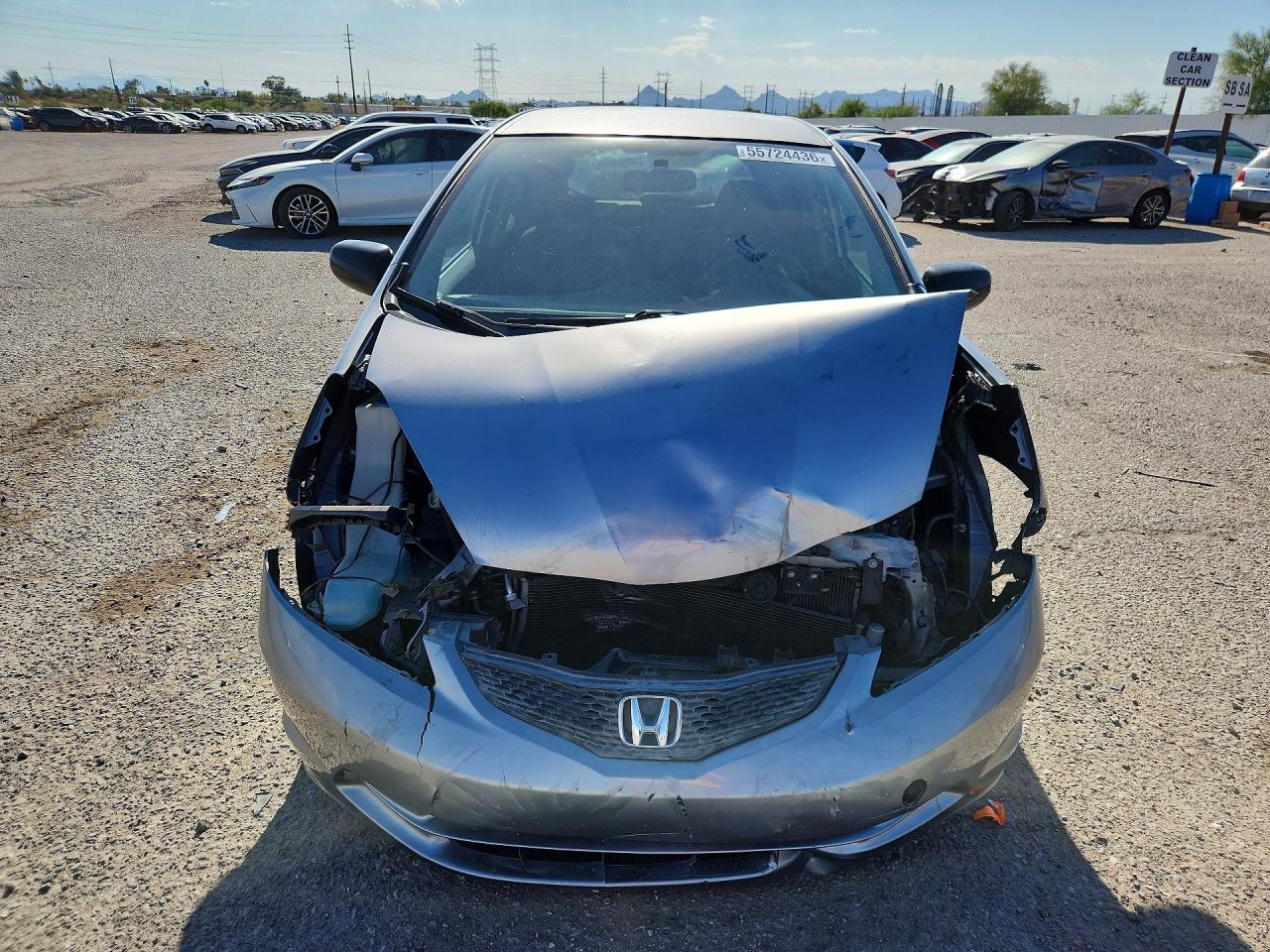 2010 Honda Fit Silver vin: JHMGE8H22AC010094