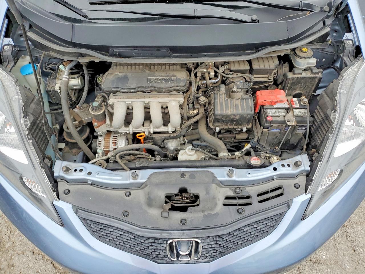 2011 Honda Fit Turquoise vin: JHMGE8H36BC018161