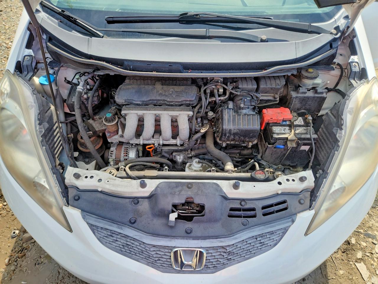 2010 Honda Fit Sport White vin: JHMGE8H43AS015022
