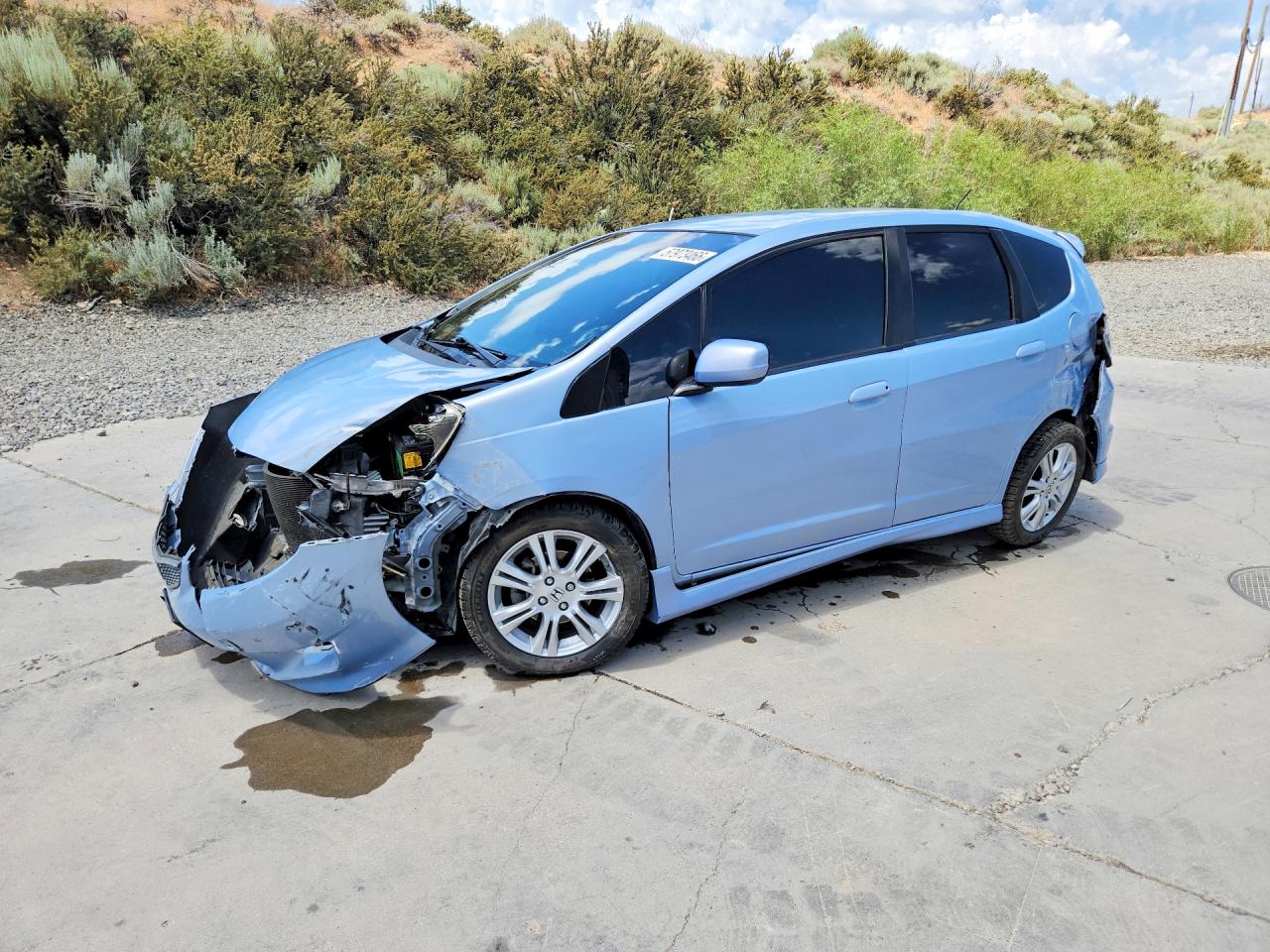 2010 Honda Fit Sport Blue vin: JHMGE8H46AC006776