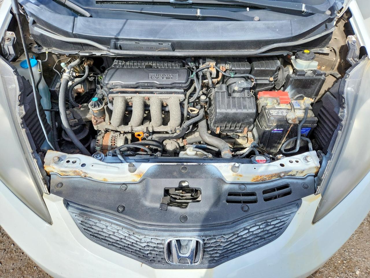 2011 Honda Fit White vin: JHMGE8H55BC801375