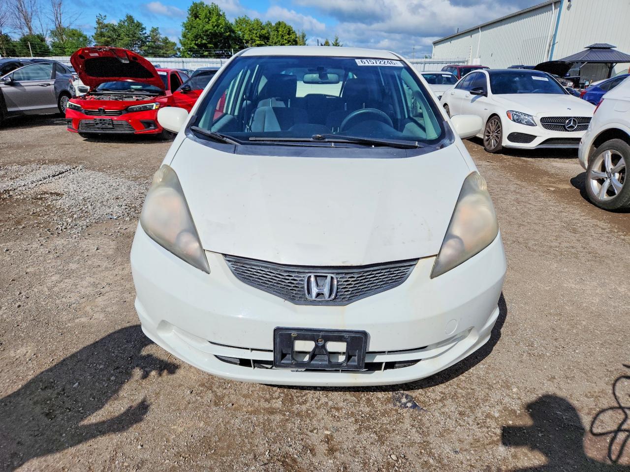 2011 Honda Fit White vin: JHMGE8H55BC801375