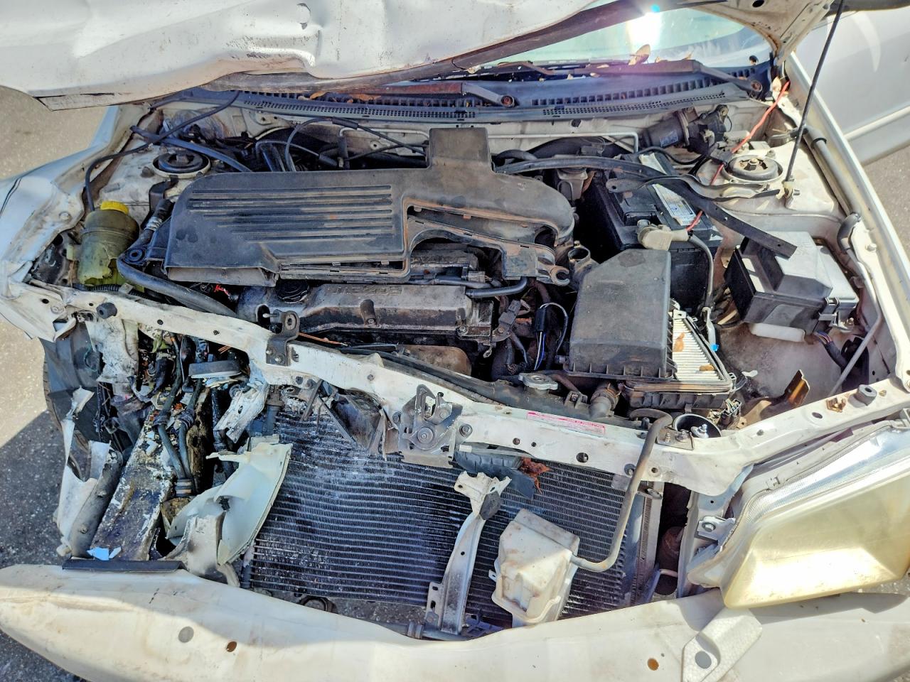 1999 Mazda Protege Dx White vin: JM1BJ2226X0169062