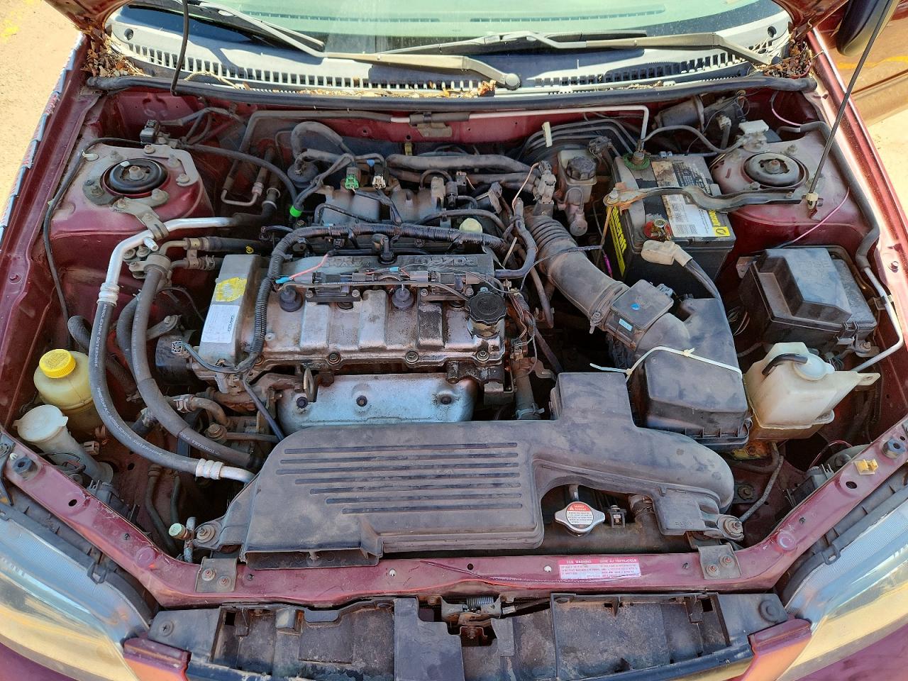 2002 Mazda Protege Dx Red vin: JM1BJ225020603916