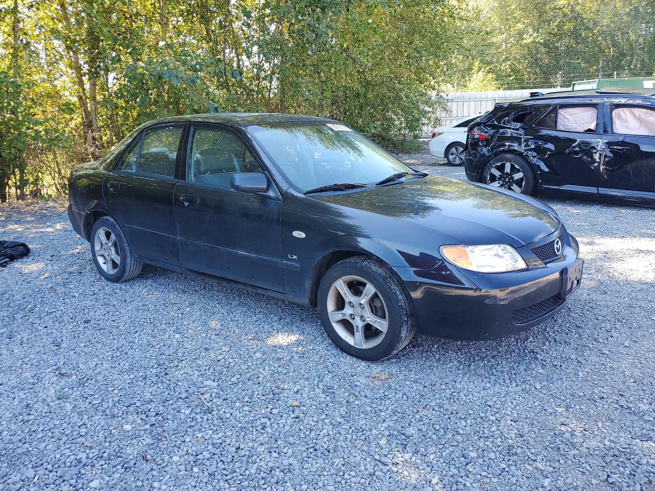 2003 Mazda Protege Dx Black vin: JM1BJ225930178553
