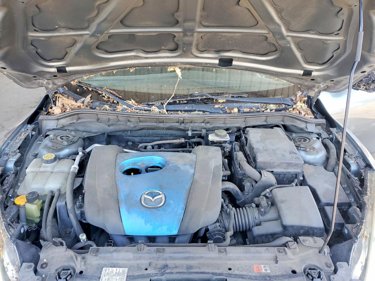 2013 Mazda 3 I Teal vin: JM1BL1LP5D1794251