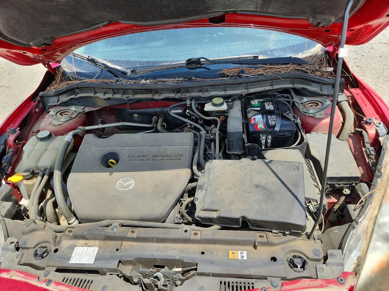2010 Mazda 3 S Red vin: JM1BL1S5XA1191050