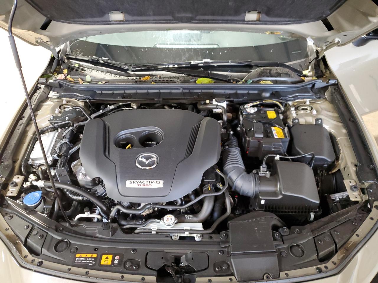 2025 Mazda 3 Carbon Turbo Gold vin: JM1BPBYY6S1778679
