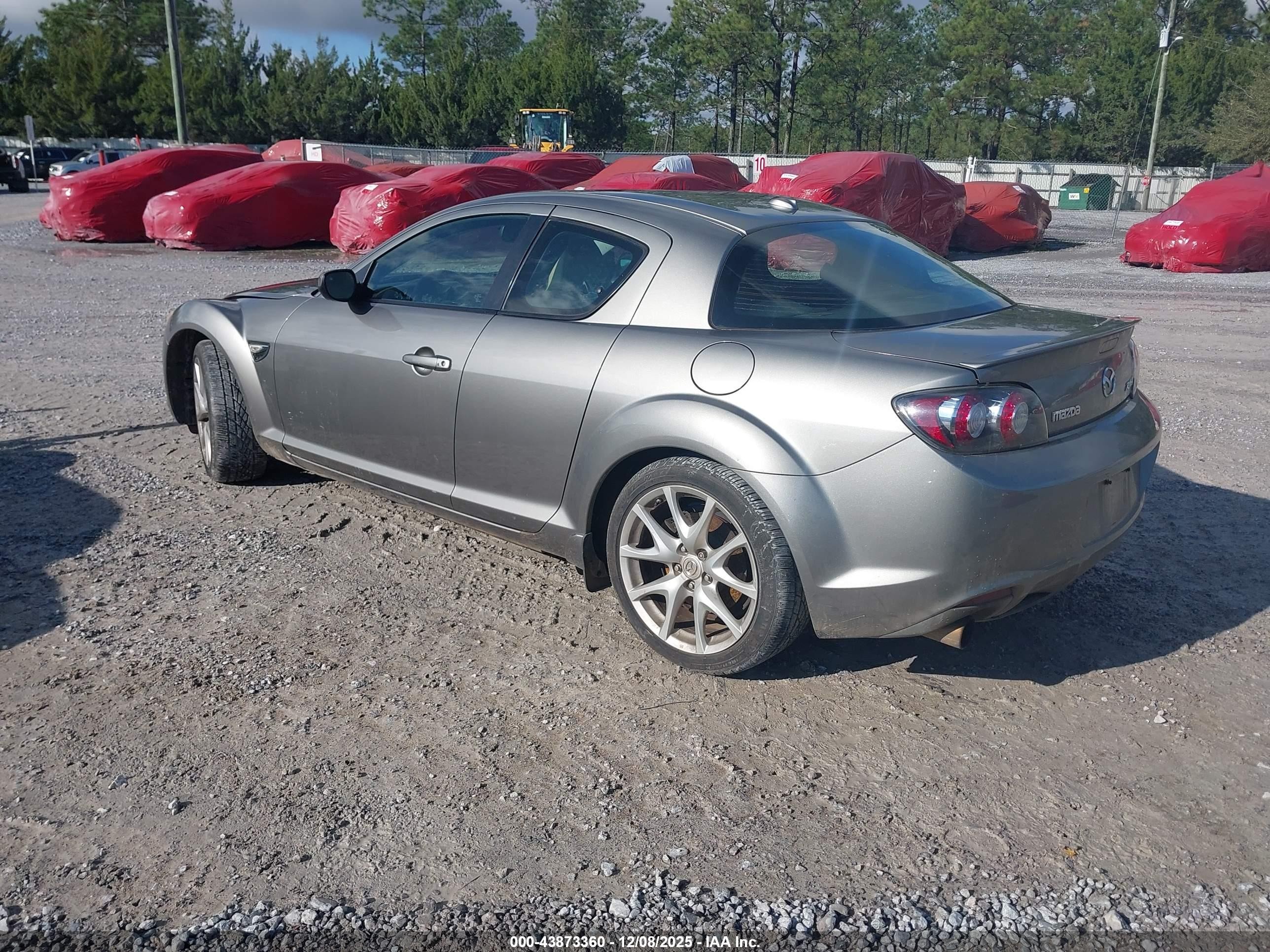 2009 Mazda Rx-8 Grand Touring Silver vin: JM1FE174090401037