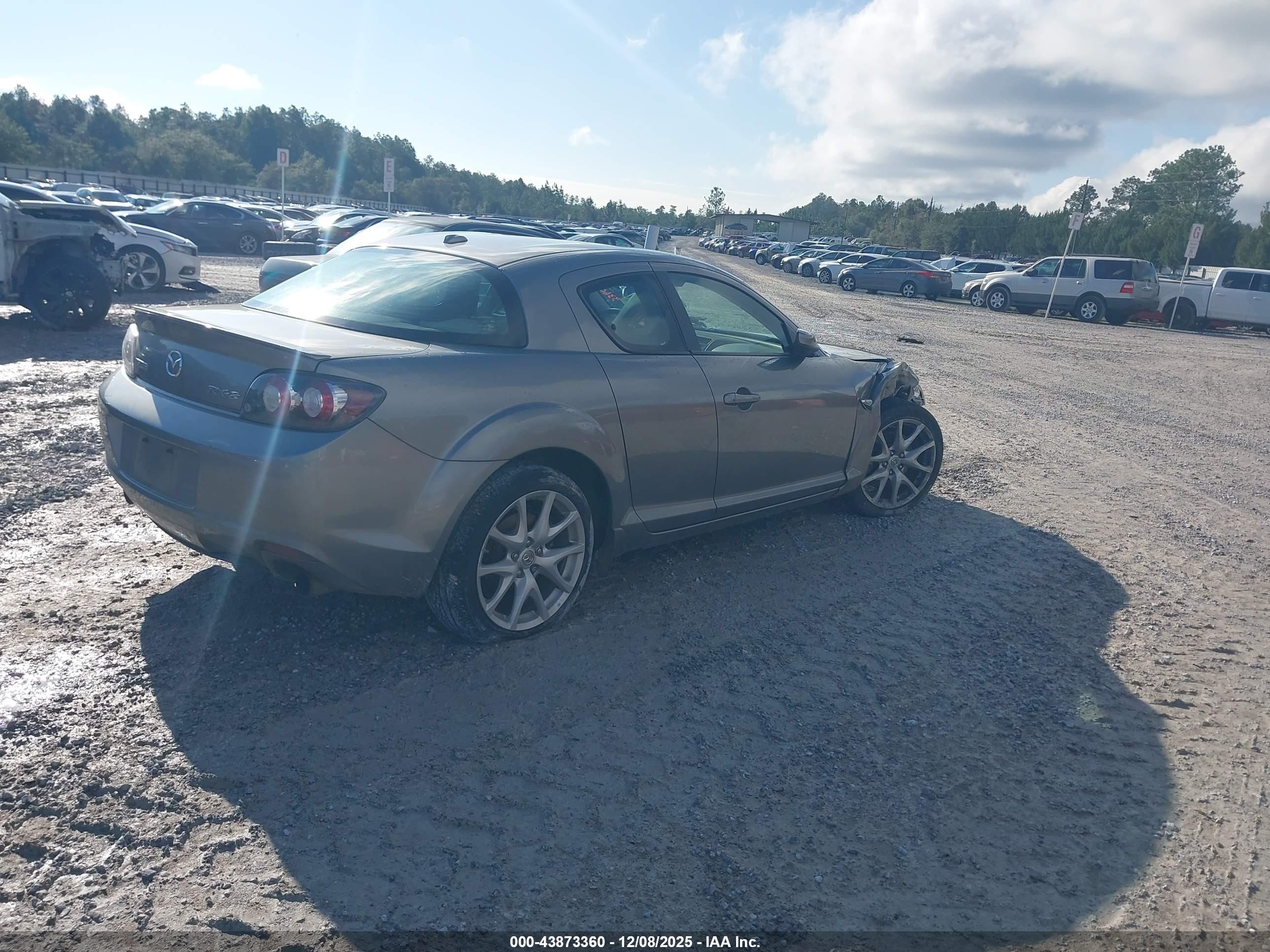 2009 Mazda Rx-8 Grand Touring Silver vin: JM1FE174090401037