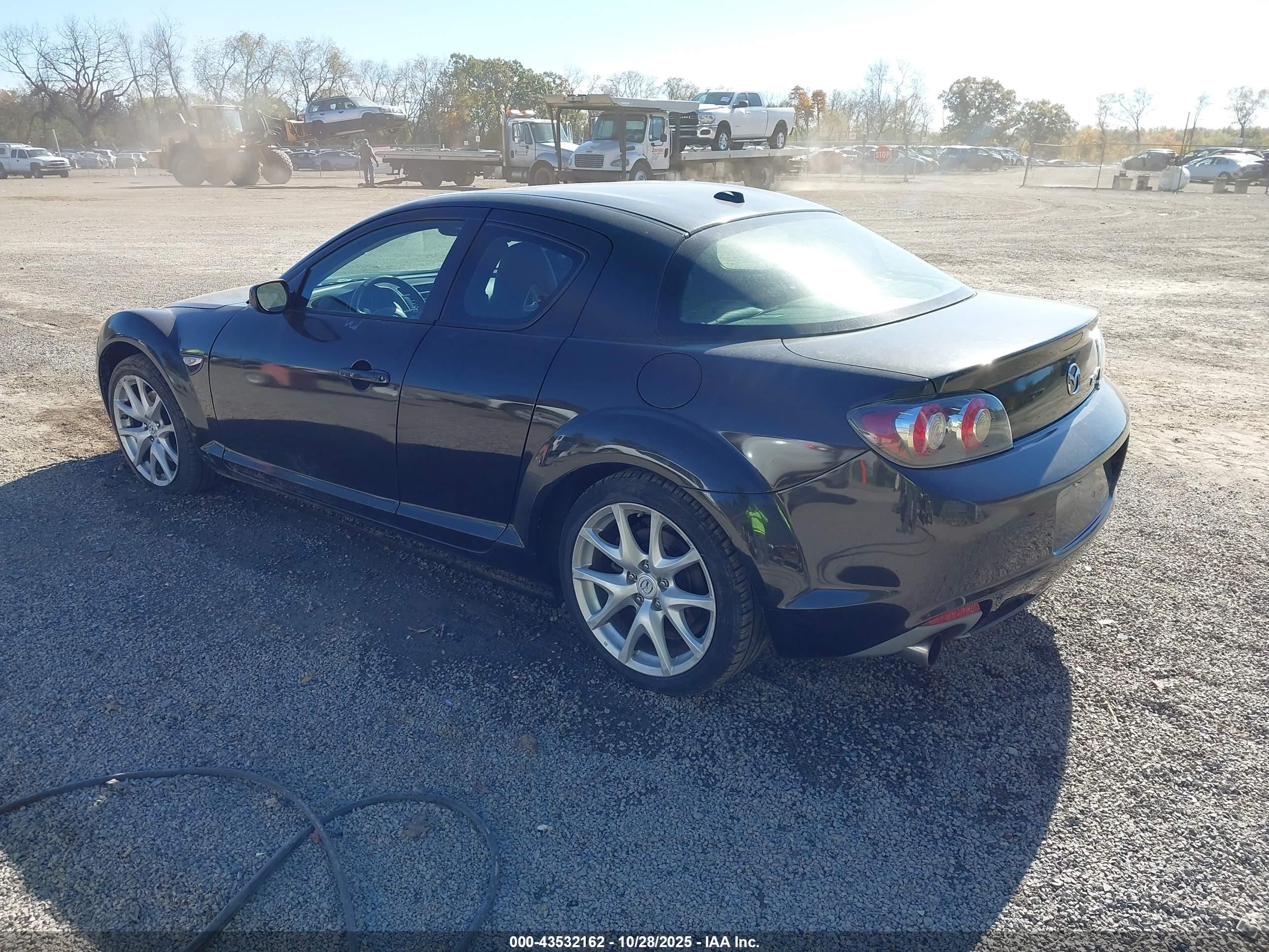 2010 Mazda Rx-8 Grand Touring Black vin: JM1FE1CM5A0403778