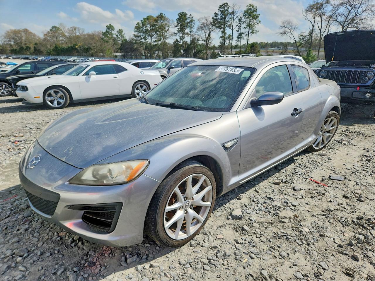 2010 Mazda Rx8 Silver vin: JM1FE1CP7A0404330
