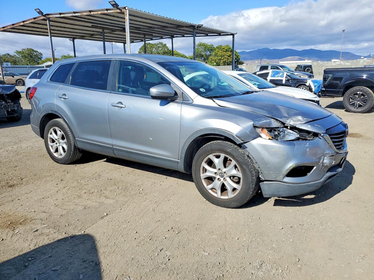 2013 Mazda Cx-9 Sport Серый vin: JM3TB2BV1D0406507