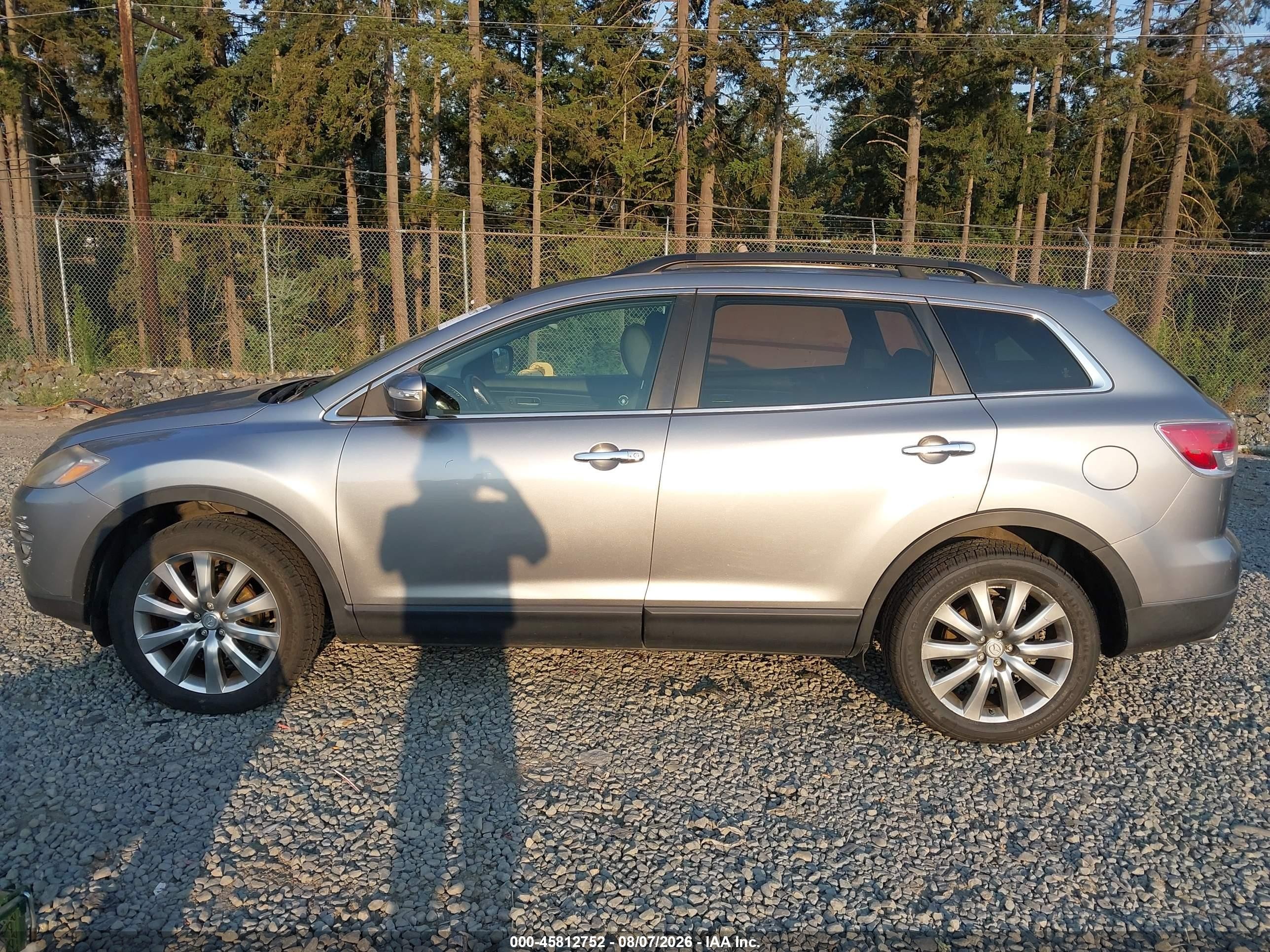 2009 Mazda Cx-9 Grand Touring Silver vin: JM3TB38V290181082