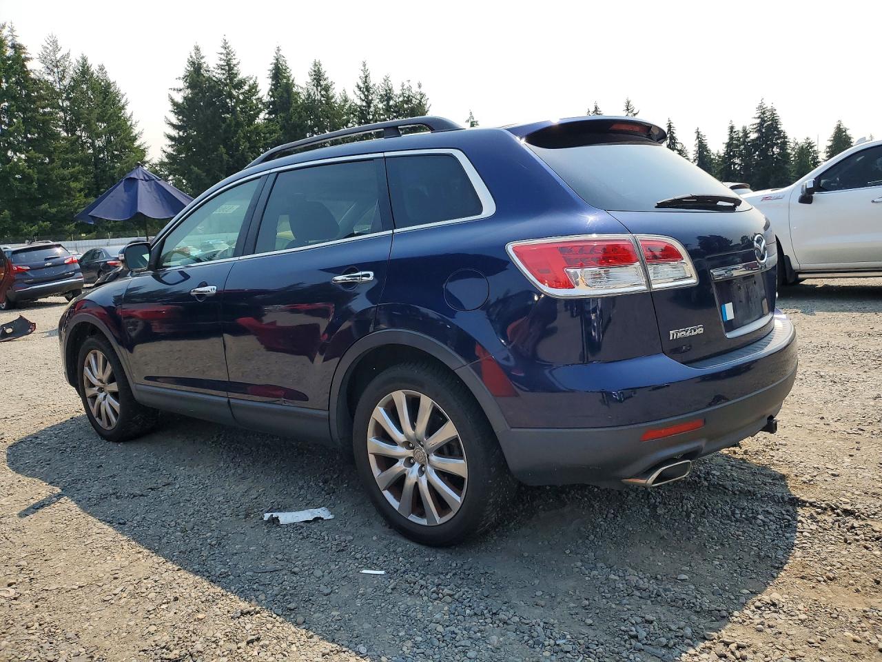 2009 Mazda Cx-9 Blue vin: JM3TB38V390164470
