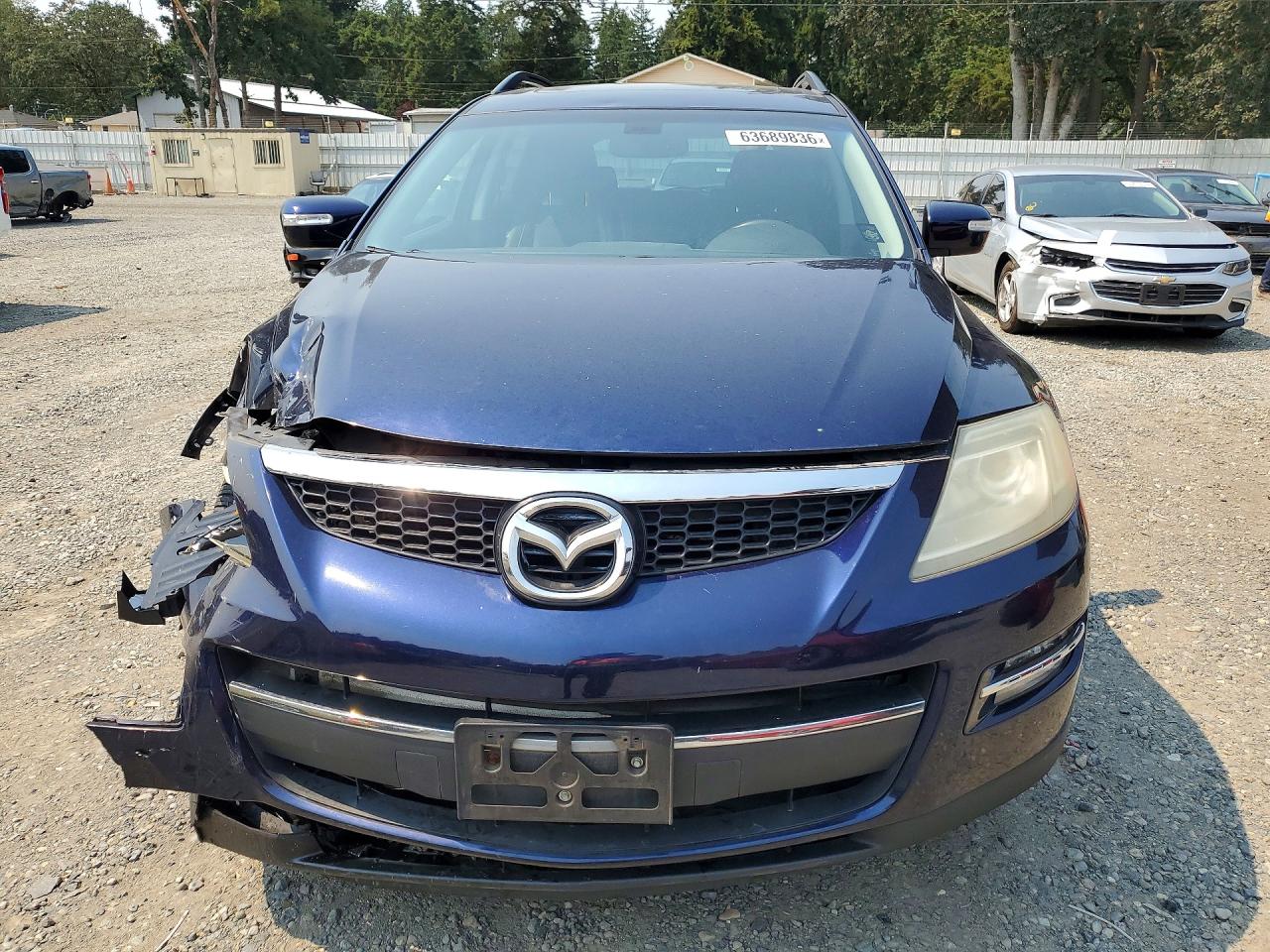 2009 Mazda Cx-9 Blue vin: JM3TB38V390164470