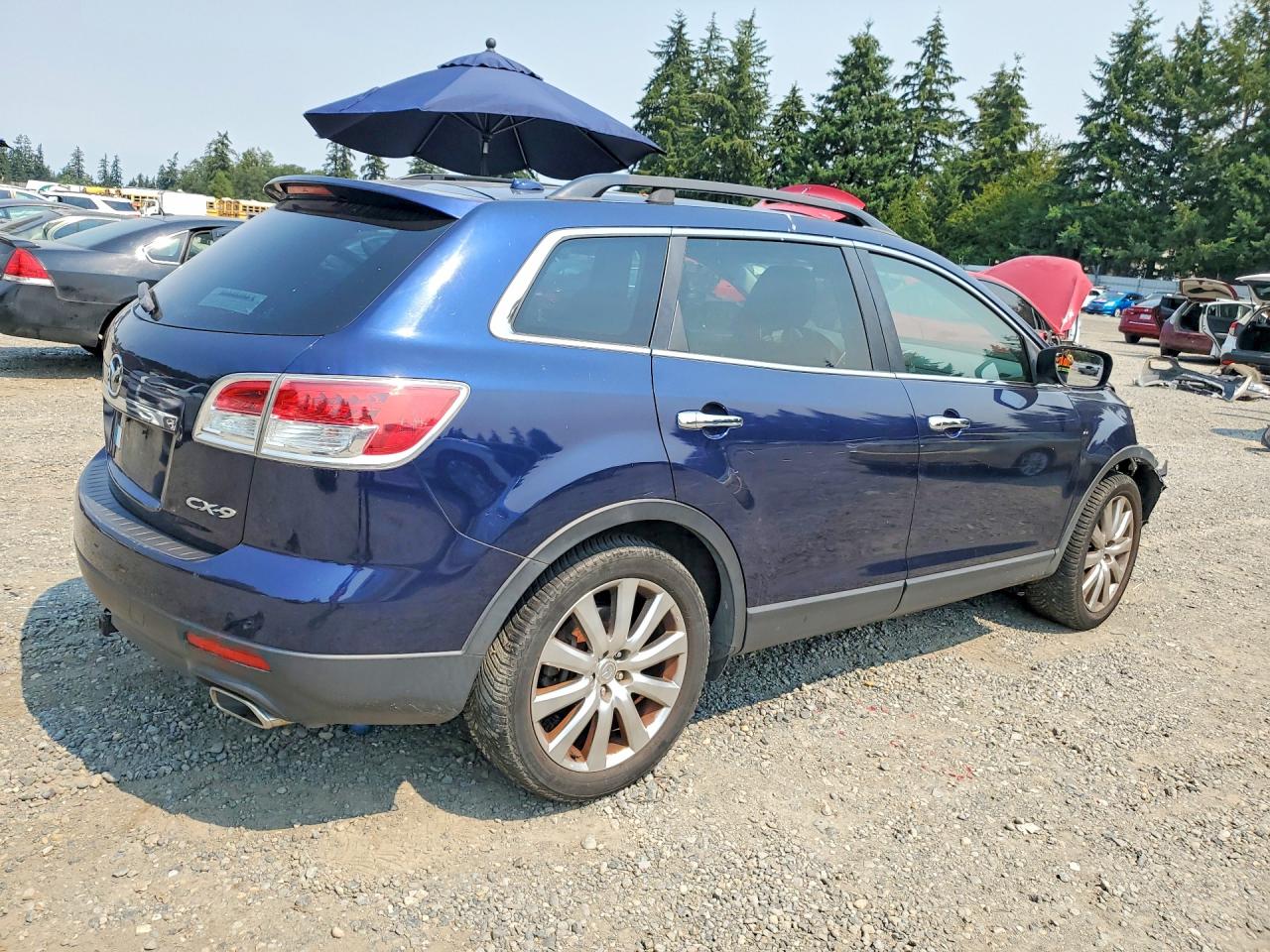 2009 Mazda Cx-9 Blue vin: JM3TB38V390164470