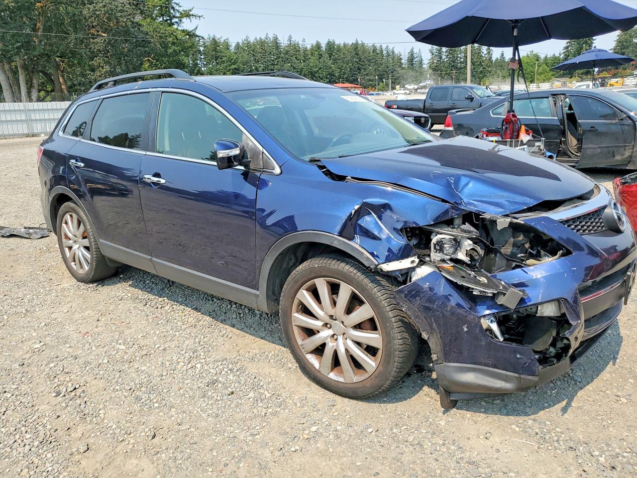 2009 Mazda Cx-9 Blue vin: JM3TB38V390164470