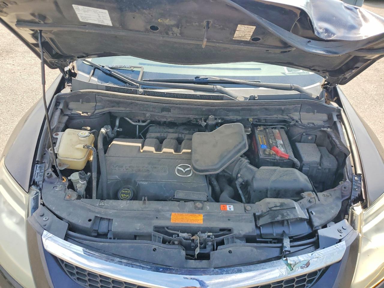 2009 Mazda Cx-9 Фиолетовый vin: JM3TB38V890180499