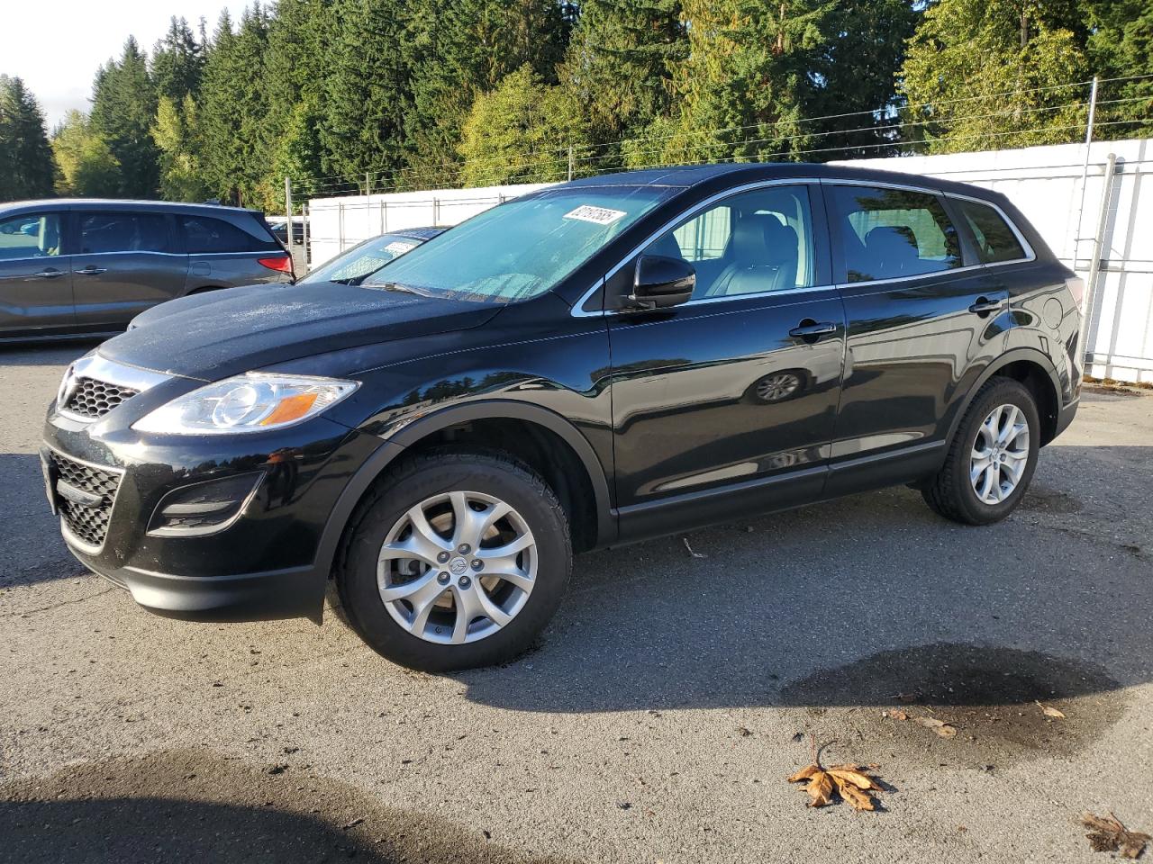 2011 Mazda Cx-9 Черный vin: JM3TB3CV0B0310658