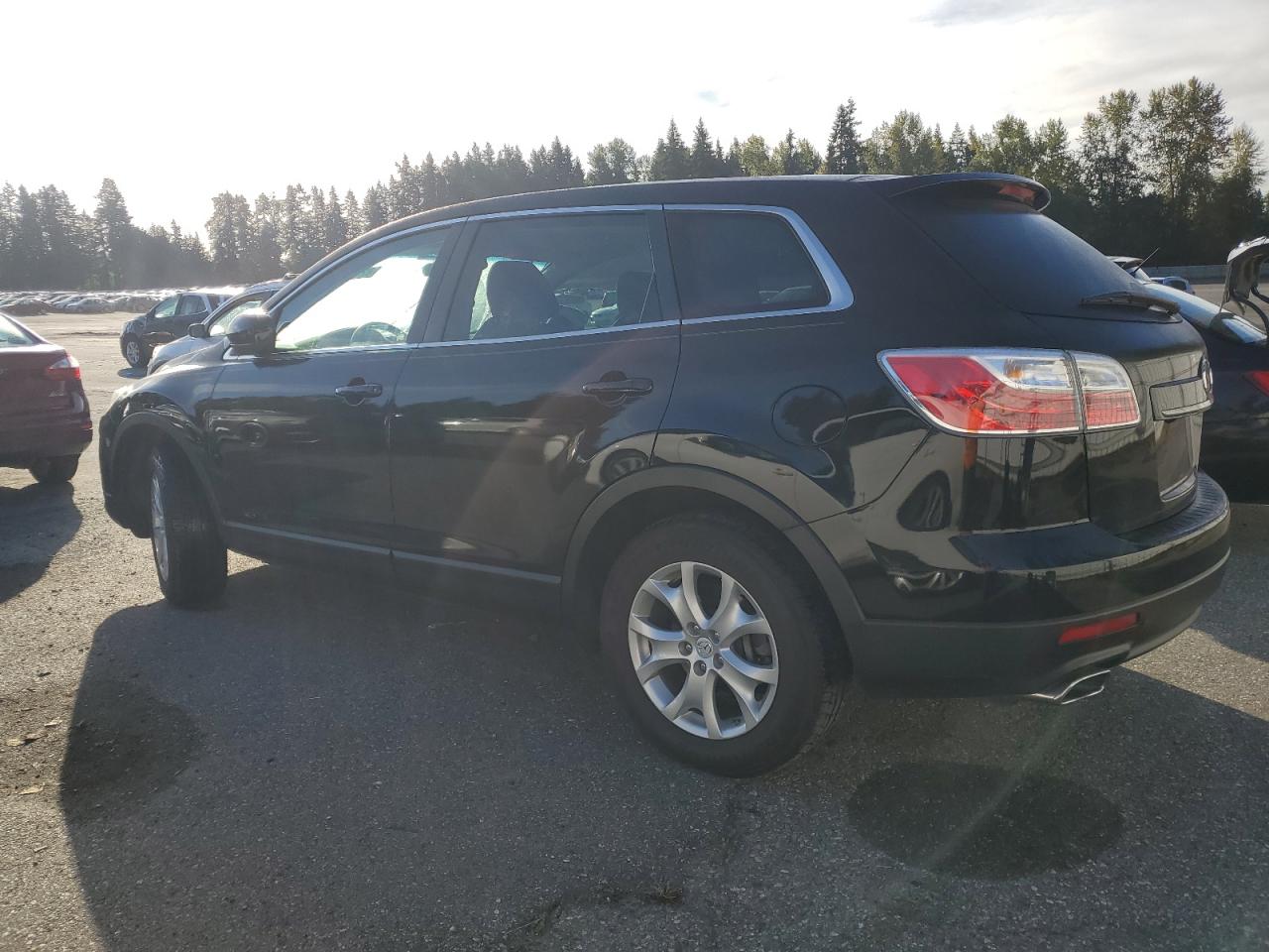 2011 Mazda Cx-9 Черный vin: JM3TB3CV0B0310658