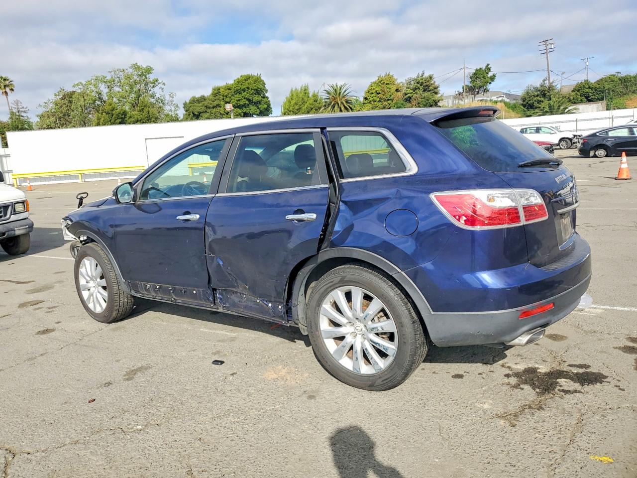 2010 Mazda Cx-9 Blue vin: JM3TB3MV2A0211840